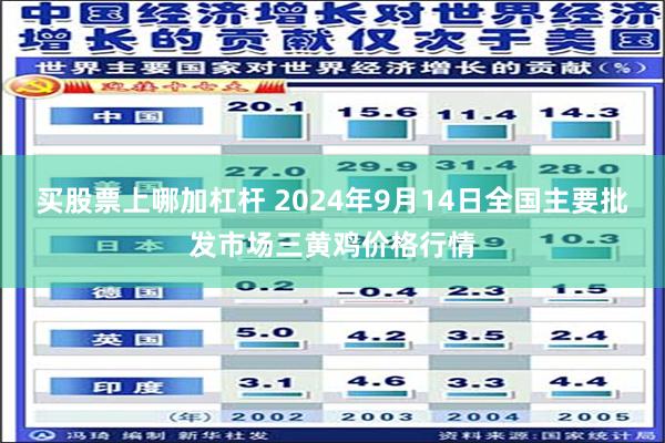 买股票上哪加杠杆 2024年9月14日全国主要批发市场三黄鸡价格行情