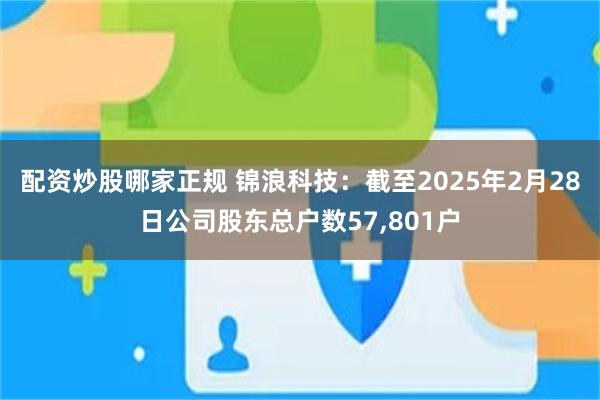 配资炒股哪家正规 锦浪科技：截至2025年2月28日公司股东总户数57,801户