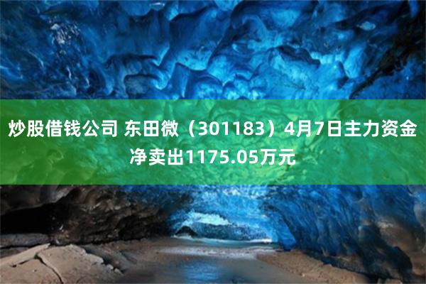 炒股借钱公司 东田微（301183）4月7日主力资金净卖出1175.05万元