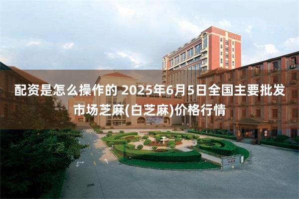 配资是怎么操作的 2025年6月5日全国主要批发市场芝麻(白芝麻)价格行情