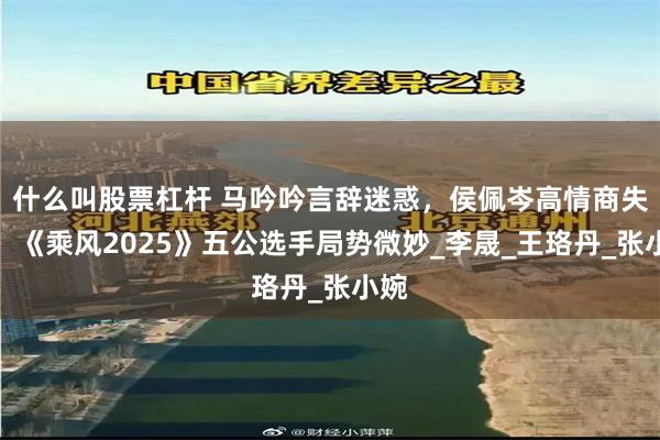 什么叫股票杠杆 马吟吟言辞迷惑，侯佩岑高情商失误，《乘风2025》五公选手局势微妙_李晟_王珞丹_张小婉