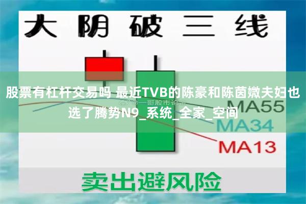 股票有杠杆交易吗 最近TVB的陈豪和陈茵媺夫妇也选了腾势N9_系统_全家_空间
