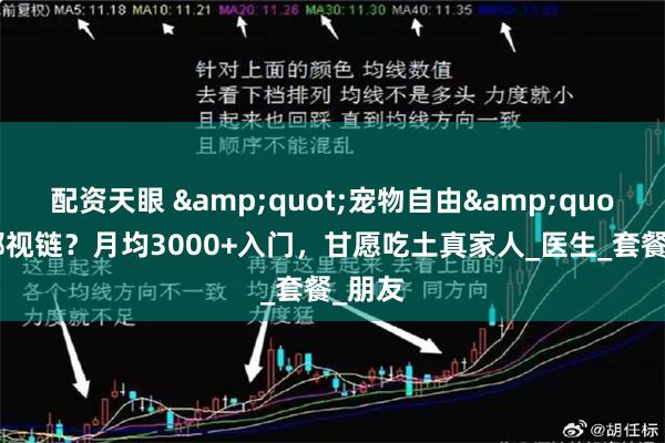 配资天眼 &quot;宠物自由&quot;有鄙视链？月均3000+入门，甘愿吃土真家人_医生_套餐_朋友