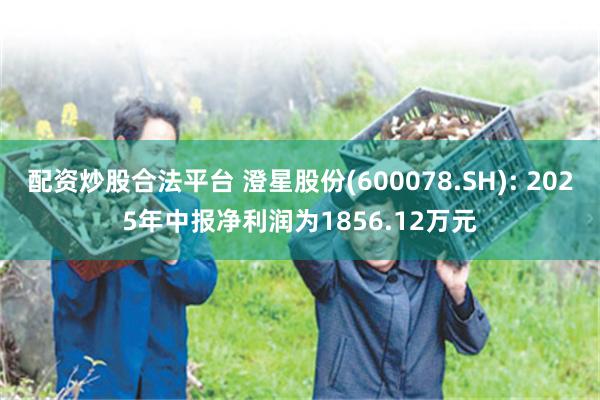 配资炒股合法平台 澄星股份(600078.SH): 2025年中报净利润为1856.12万元