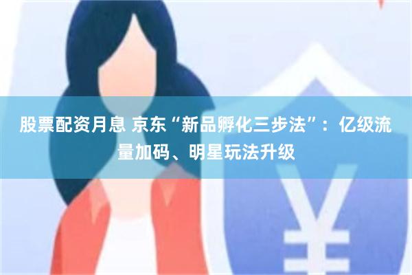 股票配资月息 京东“新品孵化三步法”：亿级流量加码、明星玩法升级