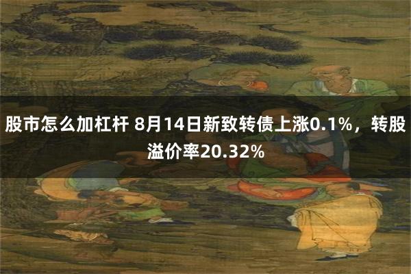 股市怎么加杠杆 8月14日新致转债上涨0.1%，转股溢价率20.32%