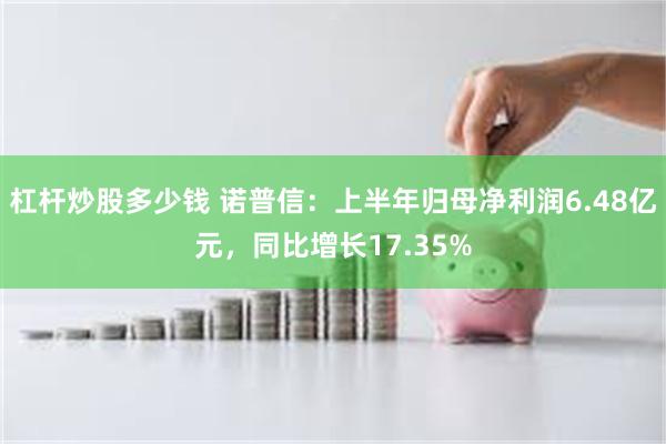 杠杆炒股多少钱 诺普信：上半年归母净利润6.48亿元，同比增长17.35%