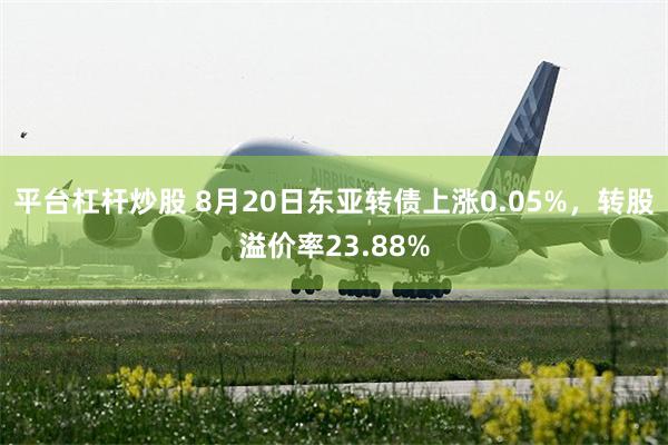 平台杠杆炒股 8月20日东亚转债上涨0.05%，转股溢价率23.88%