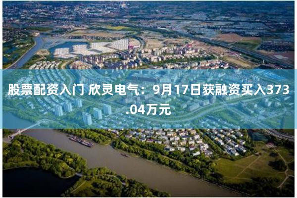 股票配资入门 欣灵电气：9月17日获融资买入373.04万元