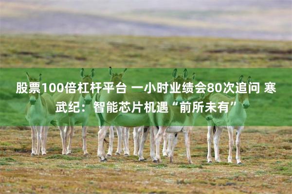 股票100倍杠杆平台 一小时业绩会80次追问 寒武纪：智能芯片机遇“前所未有”