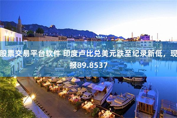 股票交易平台软件 印度卢比兑美元跌至纪录新低，现报89.8537